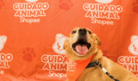 Shopee e Ampara Animal fazem mutirões gratuitos de saúde pet -  (crédito: DINO)