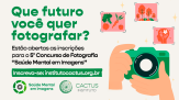 Instituto Cactus abre inscrições para concurso de fotografia - (crédito: DINO) Instituto Cactus abre inscrições para concurso de fotografia - (crédito: DINO)